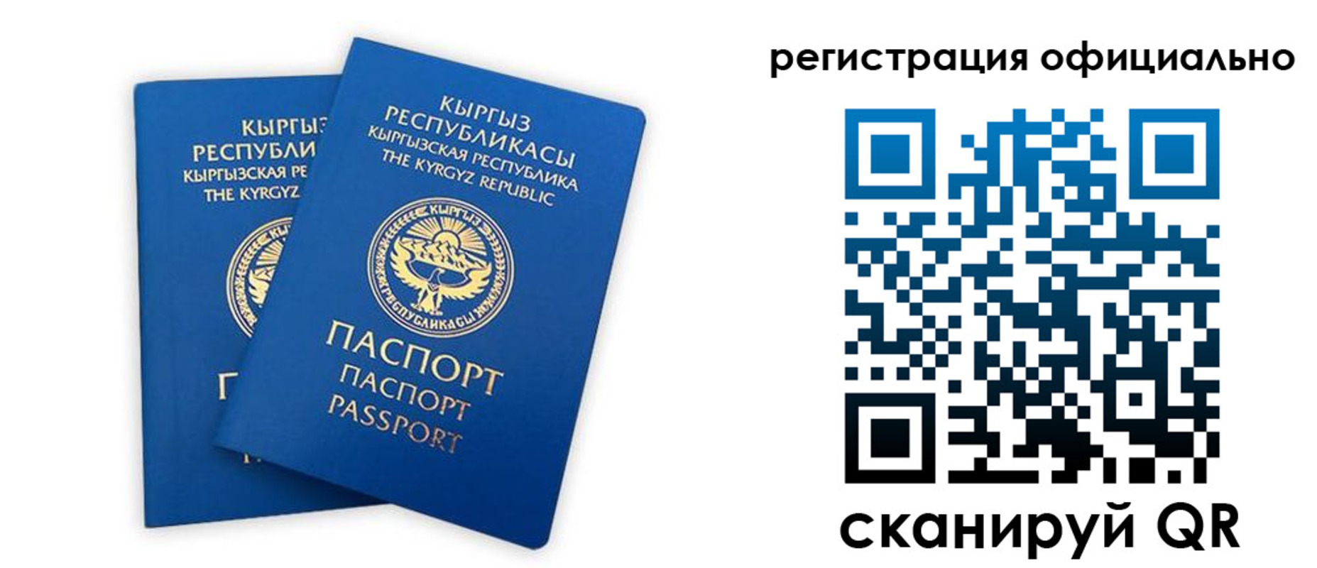 прописка поиск в Грозном